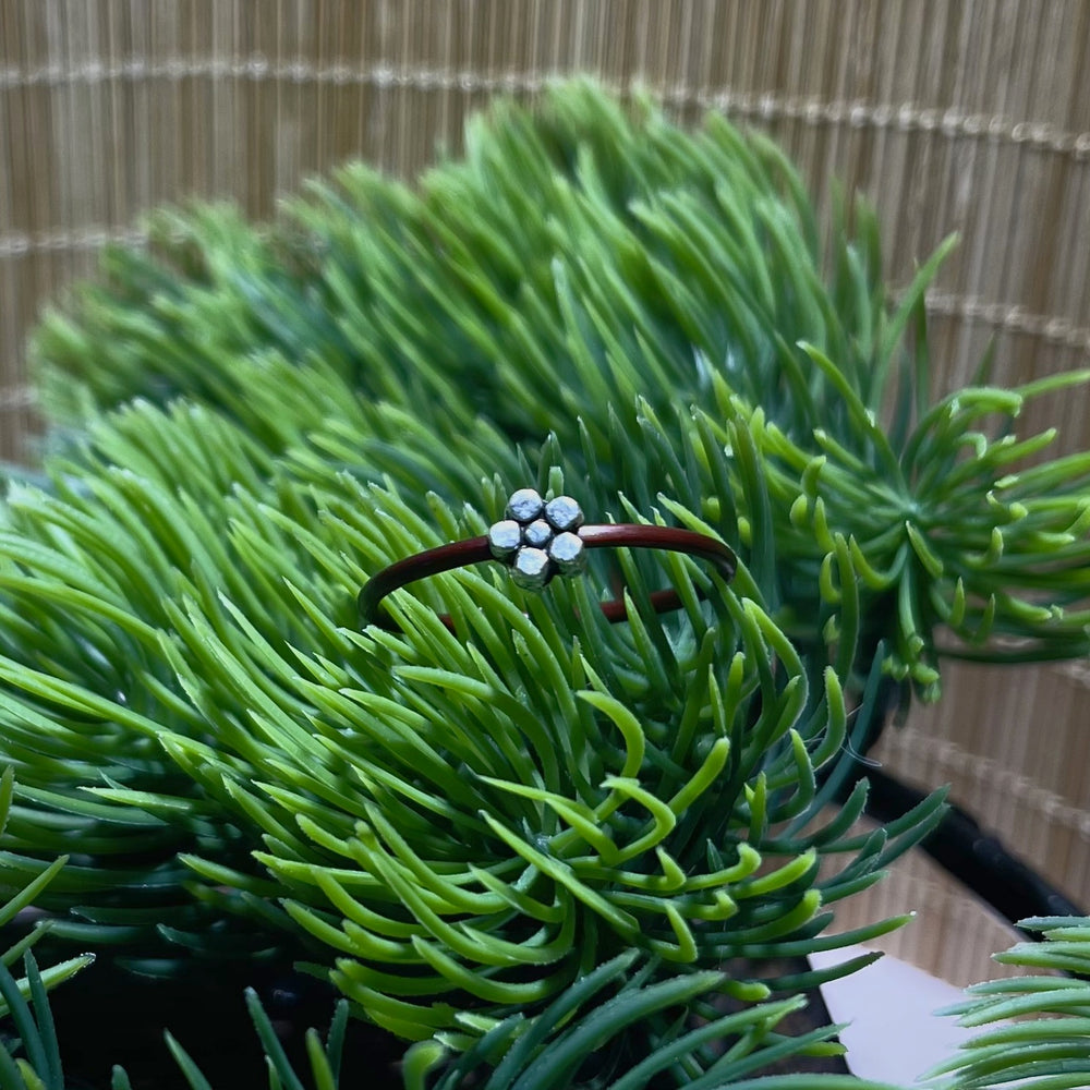 Silver Blossom Vine Ring, fine Spatholobus vine band with a five-bead silver blossom